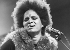 Z-Star : 2014, CONCERT, FOLK, MARTINE, ROCK, SAINT BREVIN