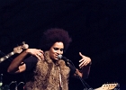 Z-Star : 2014, CONCERT, FOLK, MARTINE, ROCK, SAINT BREVIN