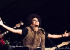 Z-Star : 2014, CONCERT, FOLK, MARTINE, ROCK, SAINT BREVIN