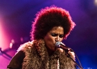 Z-Star : 2014, CONCERT, FOLK, MARTINE, ROCK, SAINT BREVIN