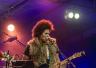 Z-Star : 2014, CONCERT, FOLK, MARTINE, ROCK, SAINT BREVIN