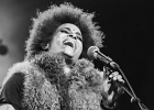 Z-Star : 2014, CONCERT, FOLK, MARTINE, ROCK, SAINT BREVIN