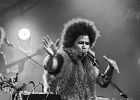 Z-Star : 2014, CONCERT, FOLK, MARTINE, ROCK, SAINT BREVIN