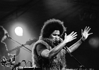 Z-Star : 2014, CONCERT, FOLK, MARTINE, ROCK, SAINT BREVIN