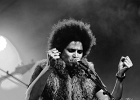 Z-Star : 2014, CONCERT, FOLK, MARTINE, ROCK, SAINT BREVIN