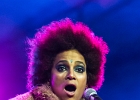Z-Star : 2014, CONCERT, FOLK, MARTINE, ROCK, SAINT BREVIN