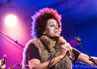 Z-Star : 2014, CONCERT, FOLK, MARTINE, ROCK, SAINT BREVIN