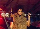 Z-Star : 2014, CONCERT, FOLK, MARTINE, ROCK, SAINT BREVIN