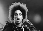 Z-Star : 2014, CONCERT, FOLK, MARTINE, ROCK, SAINT BREVIN