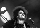 Z-Star : 2014, CONCERT, FOLK, MARTINE, ROCK, SAINT BREVIN
