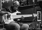 Carlos Johnson : 2014, B.L.U.E.S BAR, BLUES, CARLOS JOHNSON, CHCAGO, CONCERT, FLORENCE, MARTINE, MICHELLE, NICO WAYNE TOUSSAINT