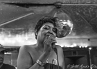 Mz Peachez, Ray &#34;killer&#34; Allison et en invité Julien : 2014, BLUES, CONCERT, HOT CITY COCKTAIL LOUNGE, MZ PEACHEZ, NICO WAYNE TOUSSAINT, VANCE KELLY