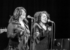 Syl Johnson : 2014, BLUES, CHICAGO, CONCERT, SOUL, SYL JOHNSON, THE PROMONTORY