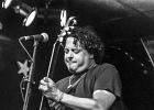 Dave Herrero : 2014, BLUES, CHICAGO, ROSA'S LOUNGE