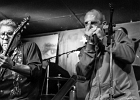 Felix Reyes  et Nico Wayne Toussaint : 2014, BLUES, CHICAGO, ROSA'S LOUNGE