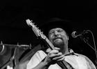 IMG_0649 : 2014, BLUES, CHICAGO, ROSA'S LOUNGE