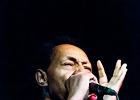 Billy Boy Arnold : 2014, BLUES, CHICAGO, ROSA'S LOUNGE