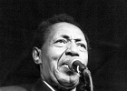 Billy Boy Arnold : 2014, BLUES, CHICAGO, ROSA'S LOUNGE