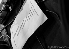 IMG 1010 : 2014, BLUES ROCK, CONCERT, IN VOLT, MANU LANVIN, NEW MORNING, ROCK