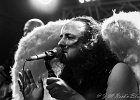 In Volt -  Enton (chant), Jérome (guitare), Michel (basse), Rodolphe Perroquin (batterie) : 2014, BLUES ROCK, CONCERT, IN VOLT, MANU LANVIN, NEW MORNING, ROCK
