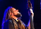 Manu Lanvin (guitare, chant), Thomas d&#39;Arbigny (contrebass), Jimmy Montout (batterie) : 2014, BLUES ROCK, CONCERT, IN VOLT, MANU LANVIN, NEW MORNING, ROCK