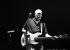 IMG 1182 : 2014, BLUES, CONCERT, FLYIN SAUCERS, MARTINE, TREMBLAY EN FRANCE, ZYDECO