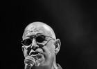 IMG 1203 : 2014, BLUES, BLUES ROCK, CONCERT, MARTINE, TOM PRINCIPATO, TREMBLAY EN FRANCE