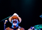 IMG 1220 : 2014, BLUES, BLUES ROCK, CONCERT, MARTINE, TOM PRINCIPATO, TREMBLAY EN FRANCE