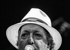 IMG 1223 : 2014, BLUES, BLUES ROCK, CONCERT, MARTINE, TOM PRINCIPATO, TREMBLAY EN FRANCE