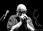 IMG 1241 : 2014, BLUES, BLUES ROCK, CONCERT, MARTINE, TOM PRINCIPATO, TREMBLAY EN FRANCE