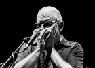 IMG 1242 : 2014, BLUES, BLUES ROCK, CONCERT, MARTINE, TOM PRINCIPATO, TREMBLAY EN FRANCE