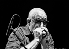 IMG 1244 : 2014, BLUES, BLUES ROCK, CONCERT, MARTINE, TOM PRINCIPATO, TREMBLAY EN FRANCE
