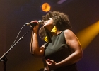 Driftin&#39; Blues : 2014, CONCERT, DRIFTIN BLUES, TREMPLIN BLUES SUR SEINE