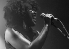Driftin&#39; Blues : 2014, CONCERT, DRIFTIN BLUES, TREMPLIN BLUES SUR SEINE
