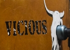 Vicious Steel : 2014, CONCERT, TREMPLIN BLUES SUR SEINE