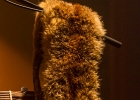 Vicious Steel : 2014, CONCERT, TREMPLIN BLUES SUR SEINE