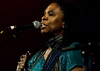 We Have A Dream : Eric Bibb, Harrisson Kennedy, Ruthie Foster : 2014, ALEX MASSMEDIA, BIG DADDY WILSON, BLUES, CONCERT, ERIC BIBB, HARRISSIN KENNEDY, LARRY GARNER, MALTED MILK, MATHIS HAUG, NIKKI HILL, PURA FE, ROCK, RUTHIE FOSTER, SHAWN HOLT, SOUL, TASHA TAYLOR, TONI GREEN, TRIANON, WAYEN BAKER BROOKS