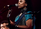 We Have A Dream : Eric Bibb, Harrisson Kennedy, Ruthie Foster : 2014, ALEX MASSMEDIA, BIG DADDY WILSON, BLUES, CONCERT, ERIC BIBB, HARRISSIN KENNEDY, LARRY GARNER, MALTED MILK, MATHIS HAUG, NIKKI HILL, PURA FE, ROCK, RUTHIE FOSTER, SHAWN HOLT, SOUL, TASHA TAYLOR, TONI GREEN, TRIANON, WAYEN BAKER BROOKS