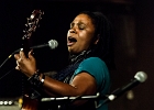We Have A Dream : Eric Bibb, Harrisson Kennedy, Ruthie Foster : 2014, ALEX MASSMEDIA, BIG DADDY WILSON, BLUES, CONCERT, ERIC BIBB, HARRISSIN KENNEDY, LARRY GARNER, MALTED MILK, MATHIS HAUG, NIKKI HILL, PURA FE, ROCK, RUTHIE FOSTER, SHAWN HOLT, SOUL, TASHA TAYLOR, TONI GREEN, TRIANON, WAYEN BAKER BROOKS