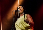 Malted Milk and Toni Green : 2014, ALEX MASSMEDIA, BIG DADDY WILSON, BLUES, CONCERT, ERIC BIBB, HARRISSIN KENNEDY, LARRY GARNER, MALTED MILK, MATHIS HAUG, NIKKI HILL, PURA FE, ROCK, RUTHIE FOSTER, SHAWN HOLT, SOUL, TASHA TAYLOR, TONI GREEN, TRIANON, WAYEN BAKER BROOKS