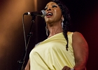 Malted Milk and Toni Green : 2014, ALEX MASSMEDIA, BIG DADDY WILSON, BLUES, CONCERT, ERIC BIBB, HARRISSIN KENNEDY, LARRY GARNER, MALTED MILK, MATHIS HAUG, NIKKI HILL, PURA FE, ROCK, RUTHIE FOSTER, SHAWN HOLT, SOUL, TASHA TAYLOR, TONI GREEN, TRIANON, WAYEN BAKER BROOKS