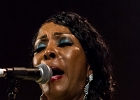 Malted Milk and Toni Green : 2014, ALEX MASSMEDIA, BIG DADDY WILSON, BLUES, CONCERT, ERIC BIBB, HARRISSIN KENNEDY, LARRY GARNER, MALTED MILK, MATHIS HAUG, NIKKI HILL, PURA FE, ROCK, RUTHIE FOSTER, SHAWN HOLT, SOUL, TASHA TAYLOR, TONI GREEN, TRIANON, WAYEN BAKER BROOKS