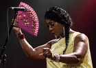 Malted Milk and Toni Green : 2014, ALEX MASSMEDIA, BIG DADDY WILSON, BLUES, CONCERT, ERIC BIBB, HARRISSIN KENNEDY, LARRY GARNER, MALTED MILK, MATHIS HAUG, NIKKI HILL, PURA FE, ROCK, RUTHIE FOSTER, SHAWN HOLT, SOUL, TASHA TAYLOR, TONI GREEN, TRIANON, WAYEN BAKER BROOKS