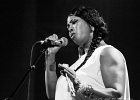 Malted Milk and Toni Green : 2014, ALEX MASSMEDIA, BIG DADDY WILSON, BLUES, CONCERT, ERIC BIBB, HARRISSIN KENNEDY, LARRY GARNER, MALTED MILK, MATHIS HAUG, NIKKI HILL, PURA FE, ROCK, RUTHIE FOSTER, SHAWN HOLT, SOUL, TASHA TAYLOR, TONI GREEN, TRIANON, WAYEN BAKER BROOKS