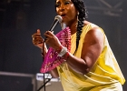 Malted Milk and Toni Green : 2014, ALEX MASSMEDIA, BIG DADDY WILSON, BLUES, CONCERT, ERIC BIBB, HARRISSIN KENNEDY, LARRY GARNER, MALTED MILK, MATHIS HAUG, NIKKI HILL, PURA FE, ROCK, RUTHIE FOSTER, SHAWN HOLT, SOUL, TASHA TAYLOR, TONI GREEN, TRIANON, WAYEN BAKER BROOKS