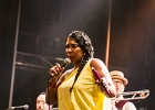 Malted Milk and Toni Green : 2014, ALEX MASSMEDIA, BIG DADDY WILSON, BLUES, CONCERT, ERIC BIBB, HARRISSIN KENNEDY, LARRY GARNER, MALTED MILK, MATHIS HAUG, NIKKI HILL, PURA FE, ROCK, RUTHIE FOSTER, SHAWN HOLT, SOUL, TASHA TAYLOR, TONI GREEN, TRIANON, WAYEN BAKER BROOKS