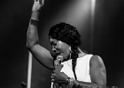 IMG 2054 : 2014, ALEX MASSMEDIA, BIG DADDY WILSON, BLUES, CONCERT, ERIC BIBB, HARRISSIN KENNEDY, LARRY GARNER, MALTED MILK, MATHIS HAUG, NIKKI HILL, PURA FE, ROCK, RUTHIE FOSTER, SHAWN HOLT, SOUL, TASHA TAYLOR, TONI GREEN, TRIANON, WAYEN BAKER BROOKS