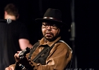 Larry Garner : 2014, ALEX MASSMEDIA, BIG DADDY WILSON, BLUES, CONCERT, ERIC BIBB, HARRISSIN KENNEDY, LARRY GARNER, MALTED MILK, MATHIS HAUG, NIKKI HILL, PURA FE, ROCK, RUTHIE FOSTER, SHAWN HOLT, SOUL, TASHA TAYLOR, TONI GREEN, TRIANON, WAYEN BAKER BROOKS