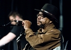 Larry Garner : 2014, ALEX MASSMEDIA, BIG DADDY WILSON, BLUES, CONCERT, ERIC BIBB, HARRISSIN KENNEDY, LARRY GARNER, MALTED MILK, MATHIS HAUG, NIKKI HILL, PURA FE, ROCK, RUTHIE FOSTER, SHAWN HOLT, SOUL, TASHA TAYLOR, TONI GREEN, TRIANON, WAYEN BAKER BROOKS