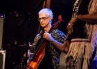 Pura Fe : 2014, ALEX MASSMEDIA, BIG DADDY WILSON, BLUES, CONCERT, ERIC BIBB, HARRISSIN KENNEDY, LARRY GARNER, MALTED MILK, MATHIS HAUG, NIKKI HILL, PURA FE, ROCK, RUTHIE FOSTER, SHAWN HOLT, SOUL, TASHA TAYLOR, TONI GREEN, TRIANON, WAYEN BAKER BROOKS
